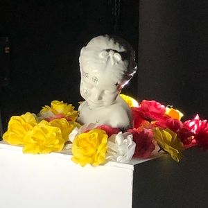 Meet your Posher, Dakota